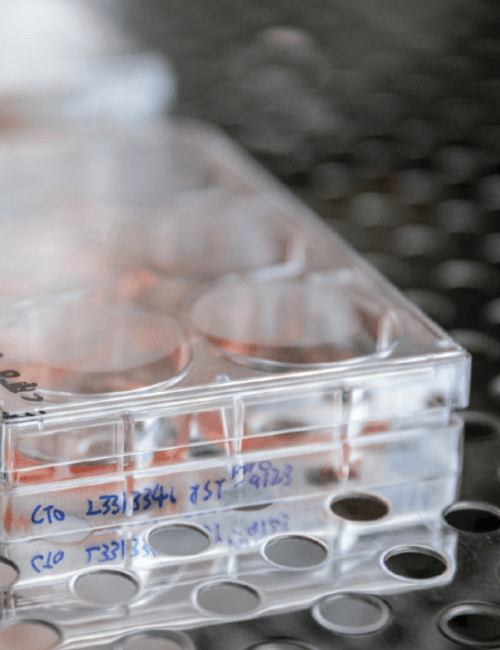 2026 수능 수학 만점자 12명 배출